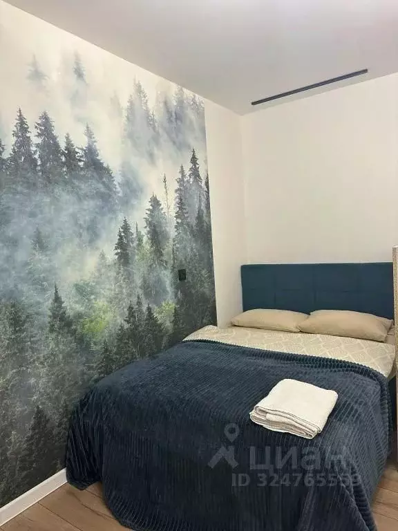 1-к кв. Санкт-Петербург наб. Реки Каменки, 19к3 (20.0 м) - Фото 2