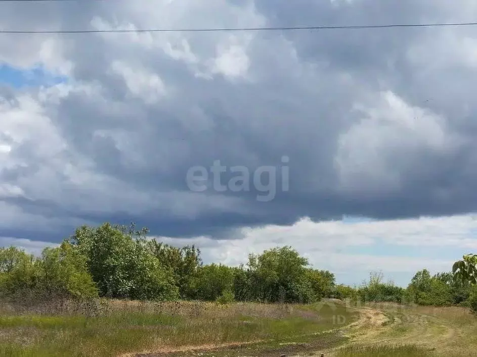 Участок в Крым, Кировский район, Синицынское с/пос, с. Васильковое ул. ... - Фото 1