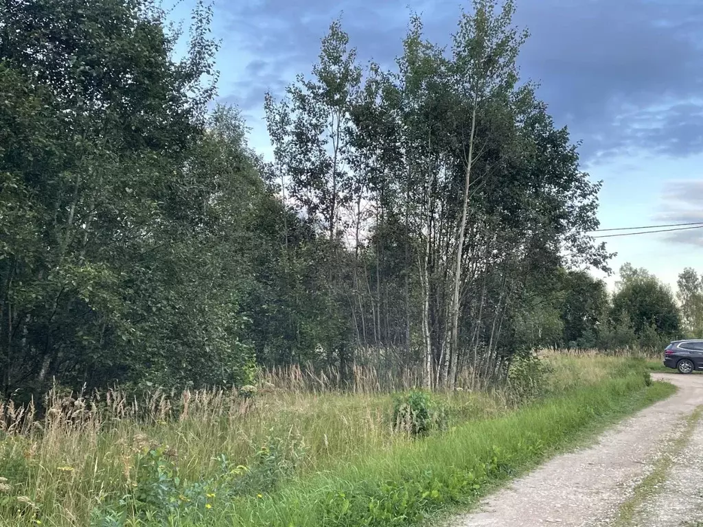 Участок в Тверская область, Старицкий муниципальный округ, Солнечный ... - Фото 2