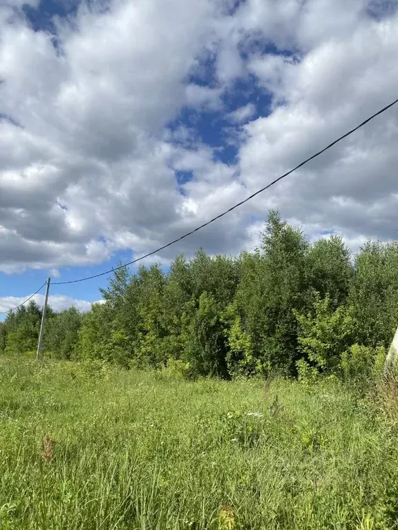 Участок в Нижегородская область, Богородский муниципальный округ, с. ... - Фото 1