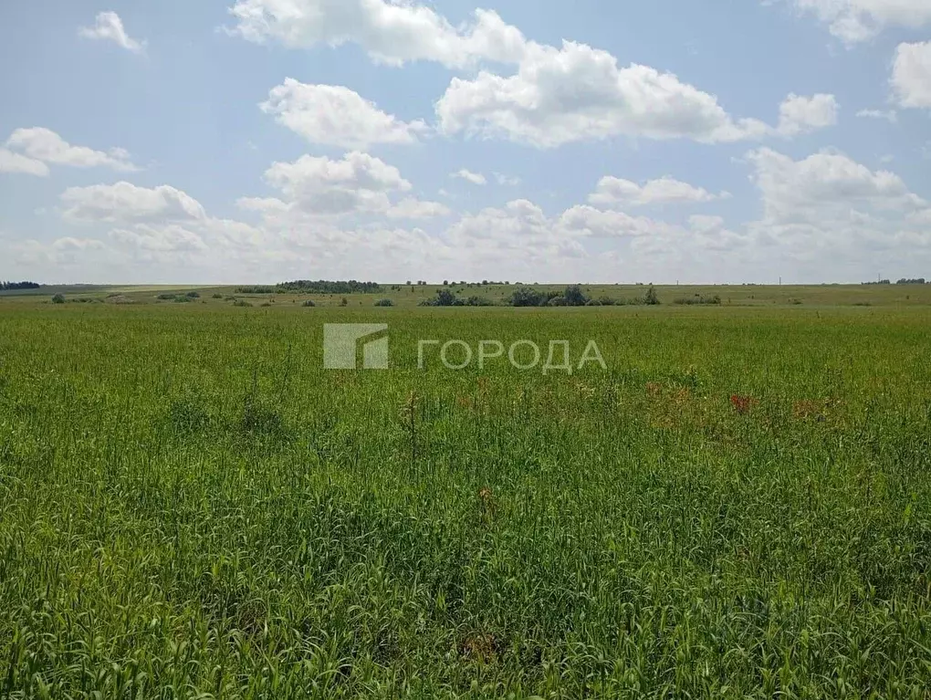 Участок в Алтайский край, Барнаул городской округ, пос. Центральный ... - Фото 1