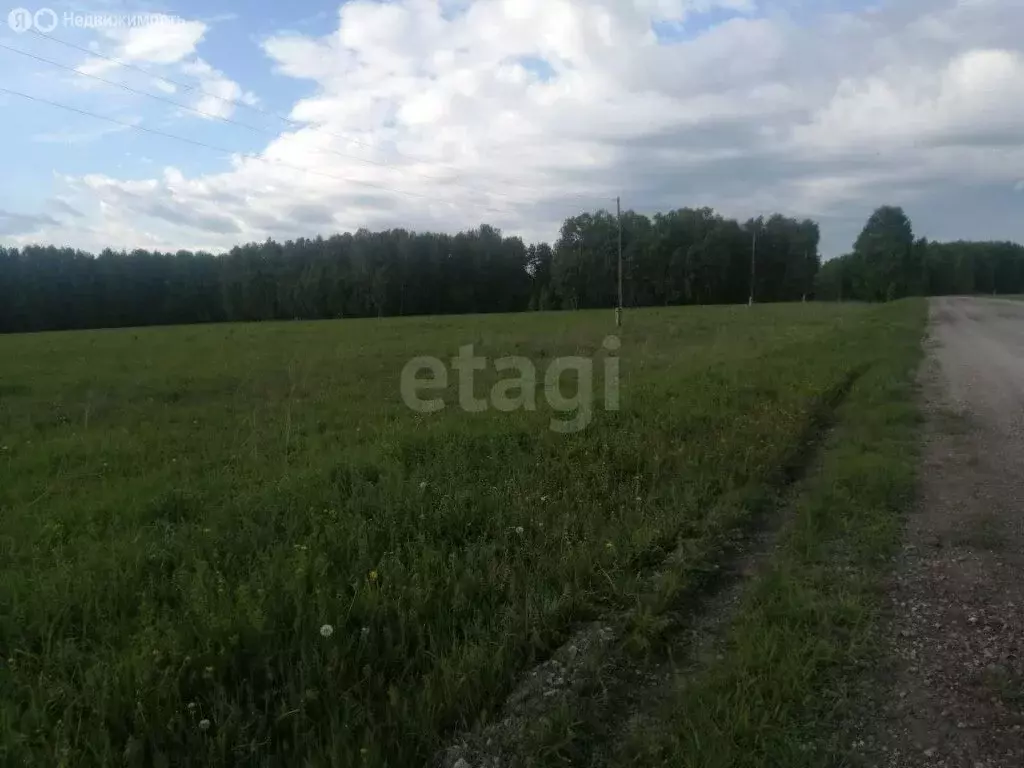 Участок в Новосибирск (1000 м) - Фото 0