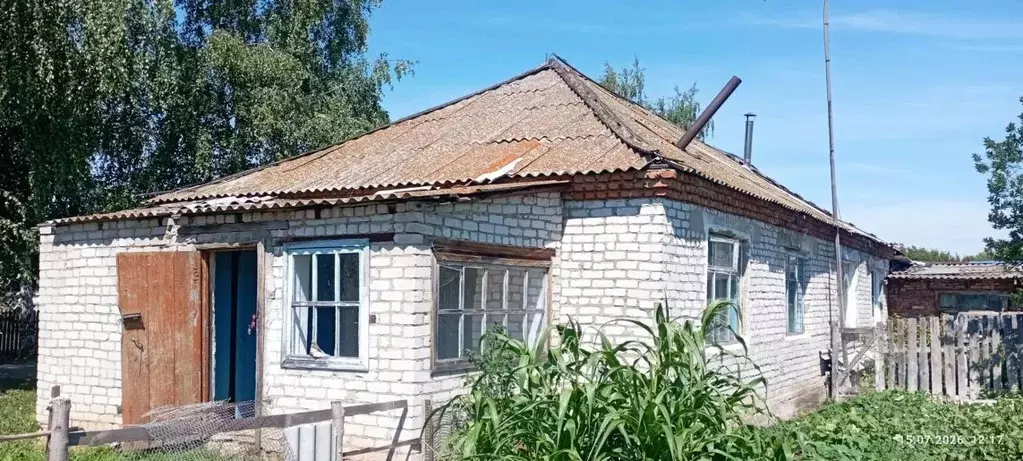 Помещение свободного назначения в Алтайский край, Зональный район, ... - Фото 2
