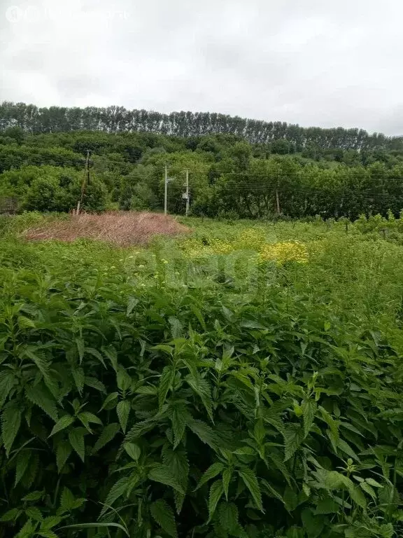Участок в село Алтайское, улица Сенчихина (10 м) - Фото 0