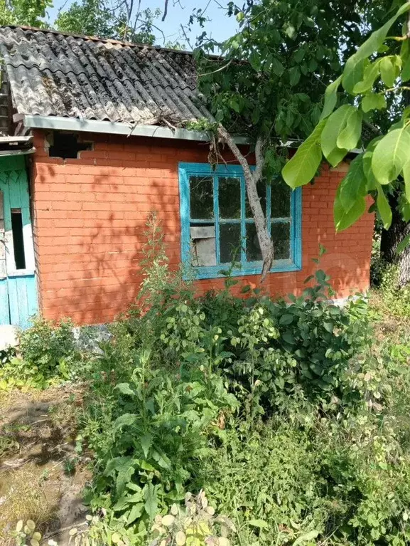 Участок 6,1 сот. (СНТ, ДНП) - Фото 1