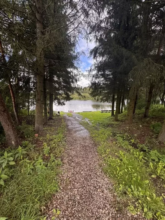 Участок в Новгородская область, Новгородский район, Савинское с/пос, ... - Фото 1