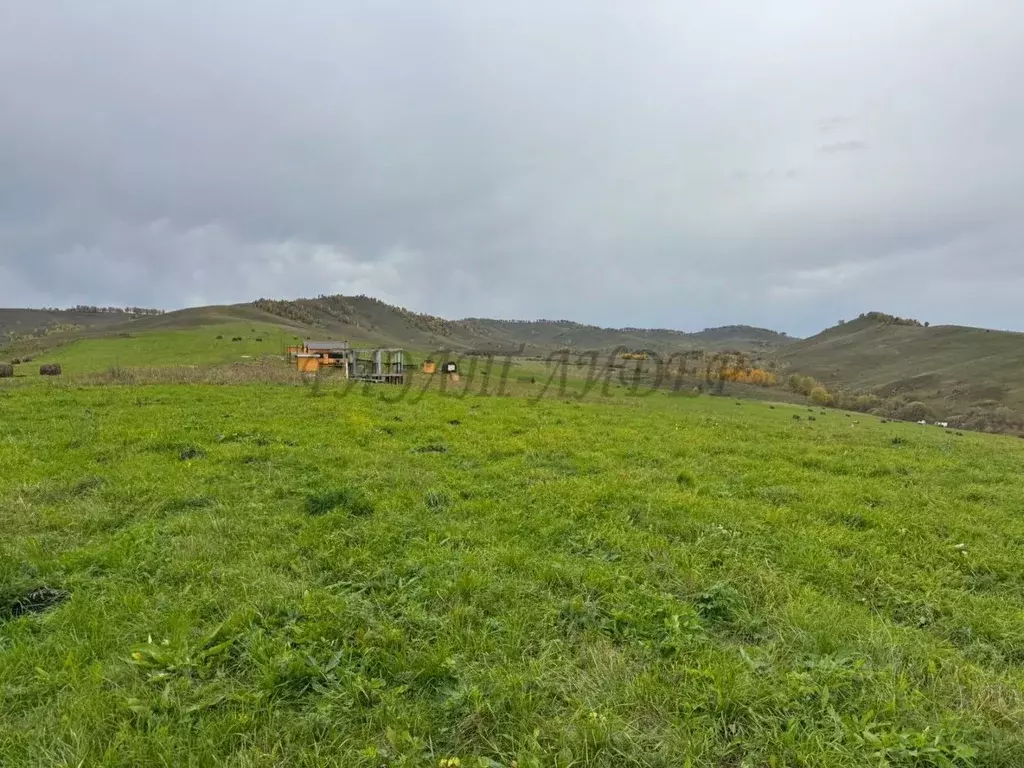 Участок в Алтайский край, Алтайский район, Айский сельсовет, с. Ая  ... - Фото 2