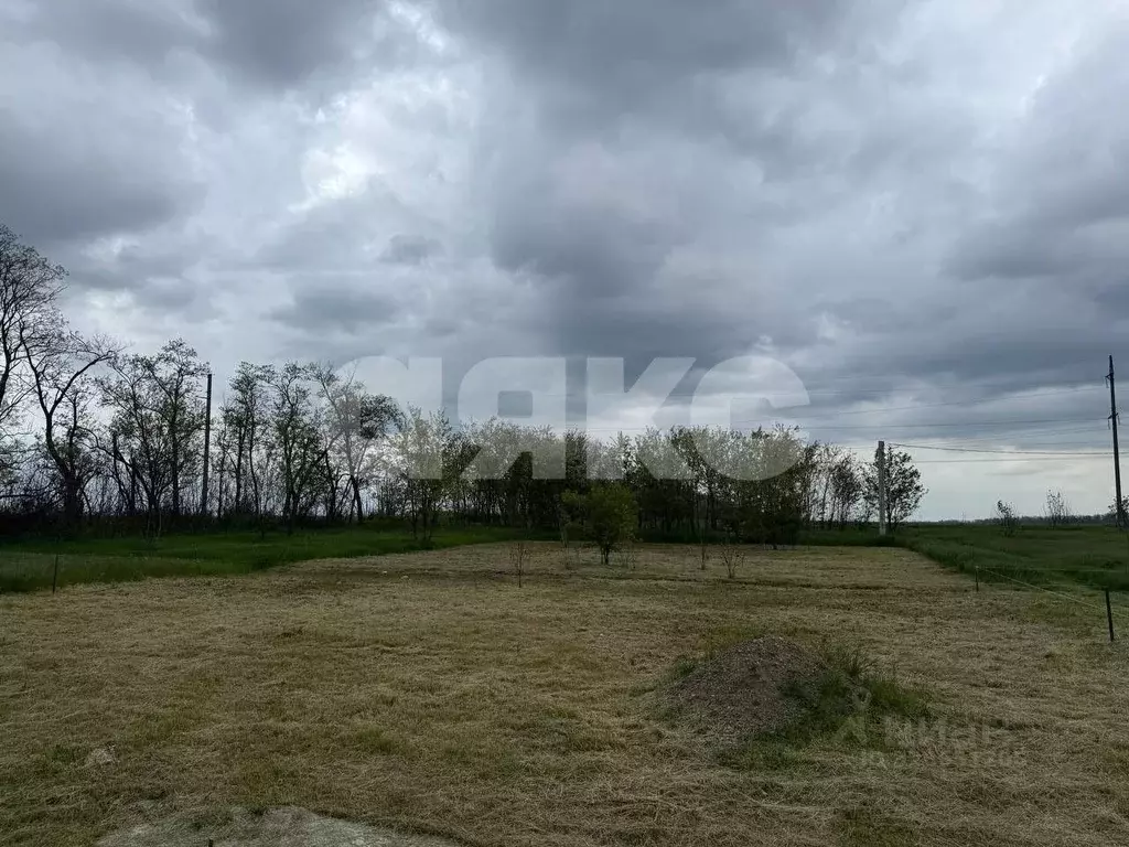 Участок в Краснодарский край, Кореновск ул. Чапаева (10.0 сот.) - Фото 1