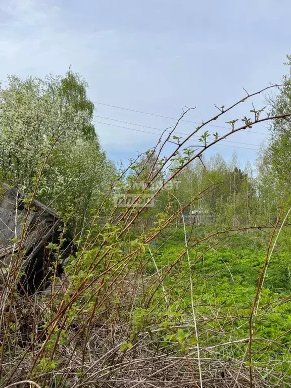 Участок в Томская область, Томский район, с. Межениновка Первомайская ... - Фото 1