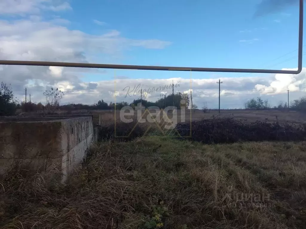 Участок в Воронежская область, Борисоглебский городской округ, с. ... - Фото 1