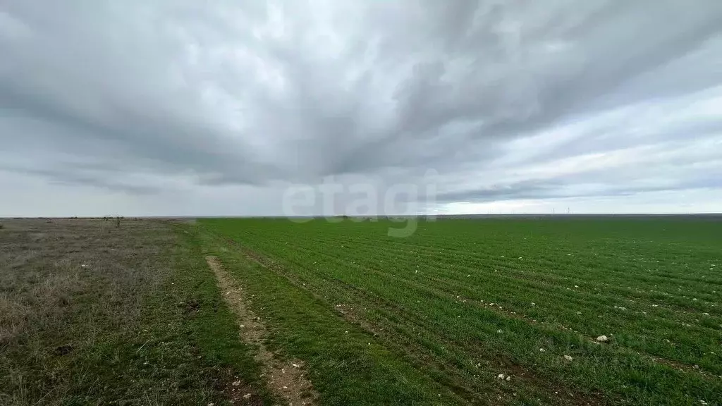 Участок в Крым, Черноморский район, с. Окуневка  (400.0 сот.) - Фото 1