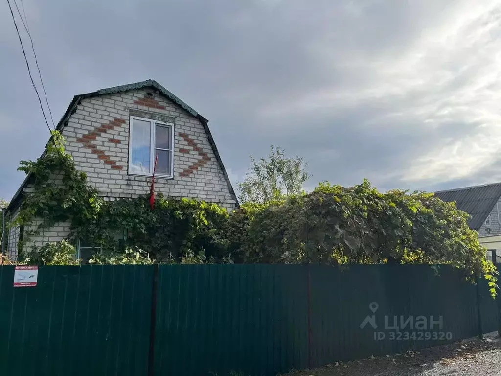 Дом в Белгородская область, Алексеевский муниципальный округ, Луч СНТ ... - Фото 2