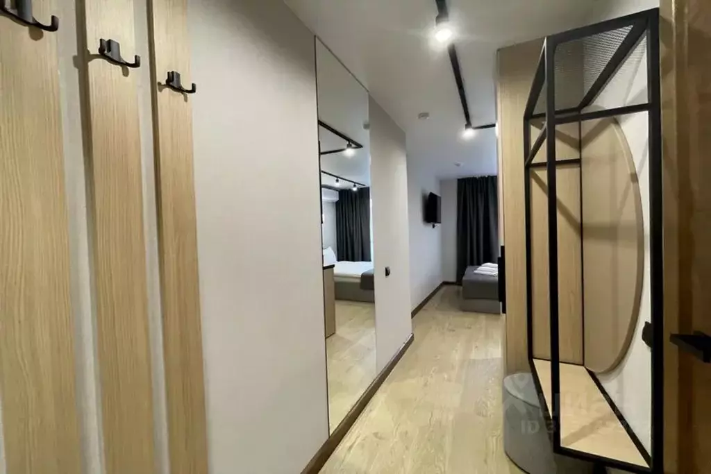 1-к кв. Алтайский край, Барнаул ул. Димитрова, 126 (29.0 м) - Фото 2