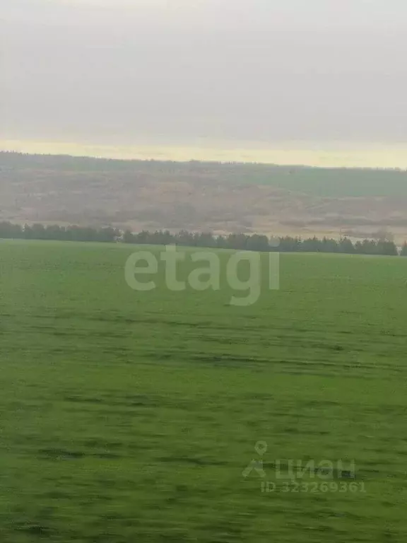 Участок в Нижегородская область, Дальнеконстантиновский муниципальный ... - Фото 2