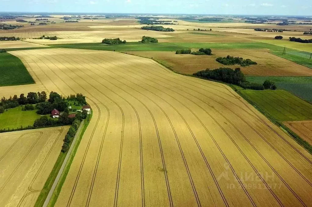 Участок в Саратовская область, Татищевский район, Октябрьское ... - Фото 1