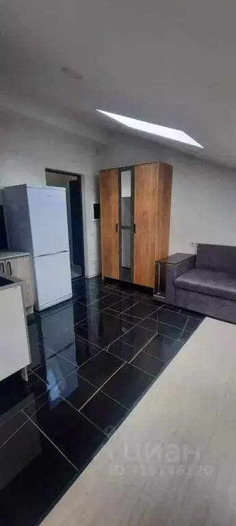 Студия Москва Филимонковское поселение, ул. Жемчужная, 1к2 (29.0 м) - Фото 1