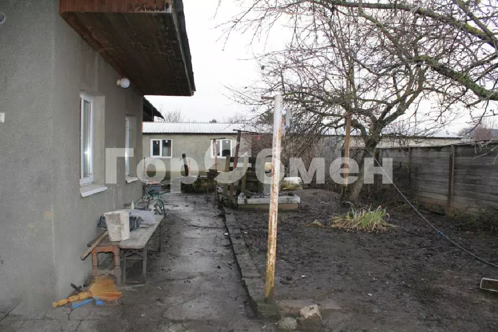 Продается дом в с. Белые Колодези - Фото 2