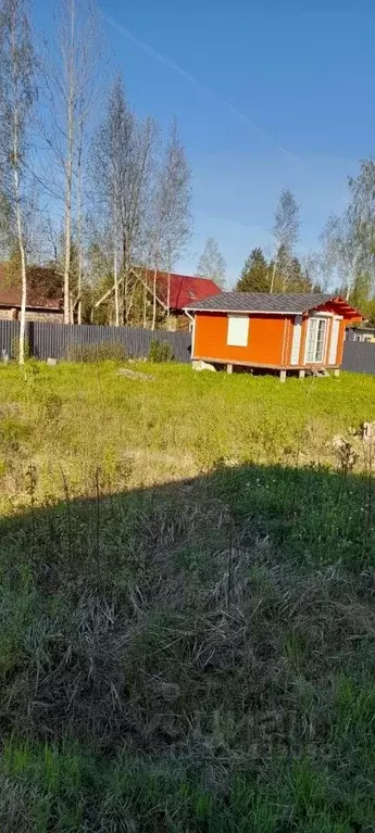 Участок в Ленинградская область, Тосненский район, Никольское ... - Фото 2