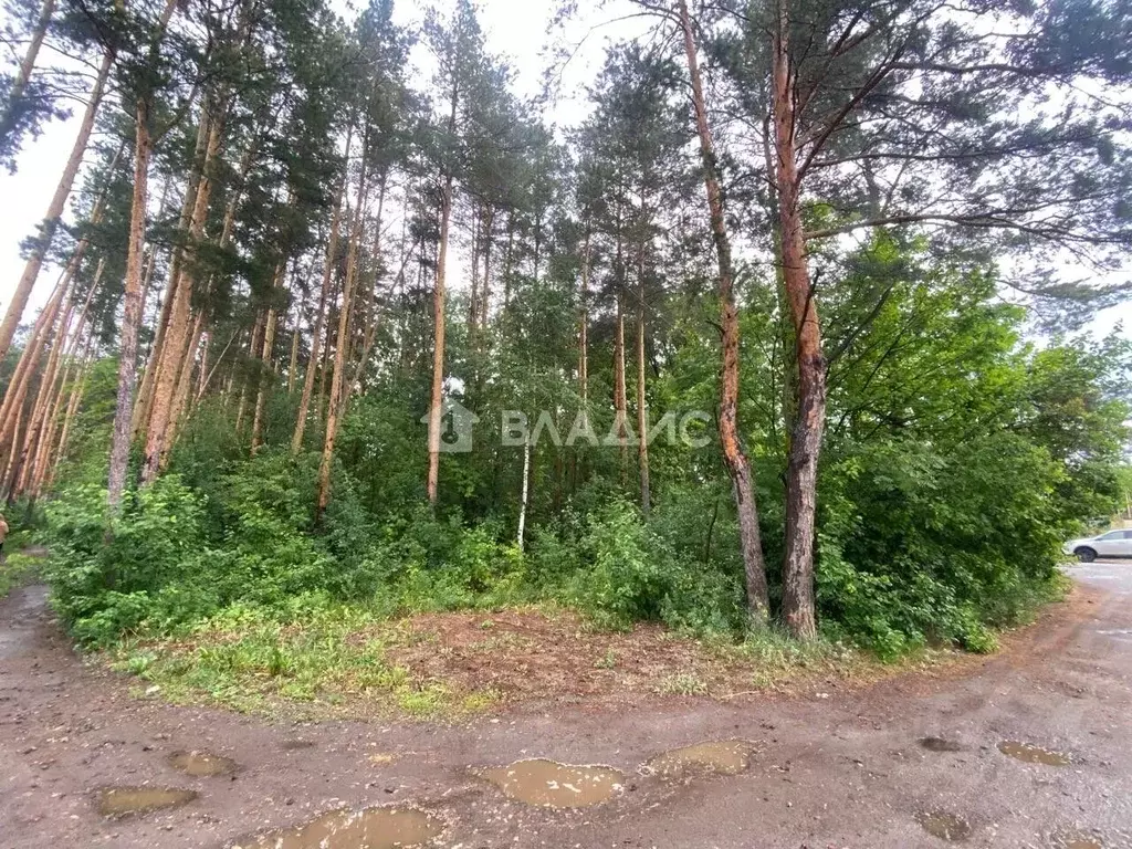 Участок в Пензенская область, Пенза Дружба Завода Пензмаш СНТ, 470 ... - Фото 0