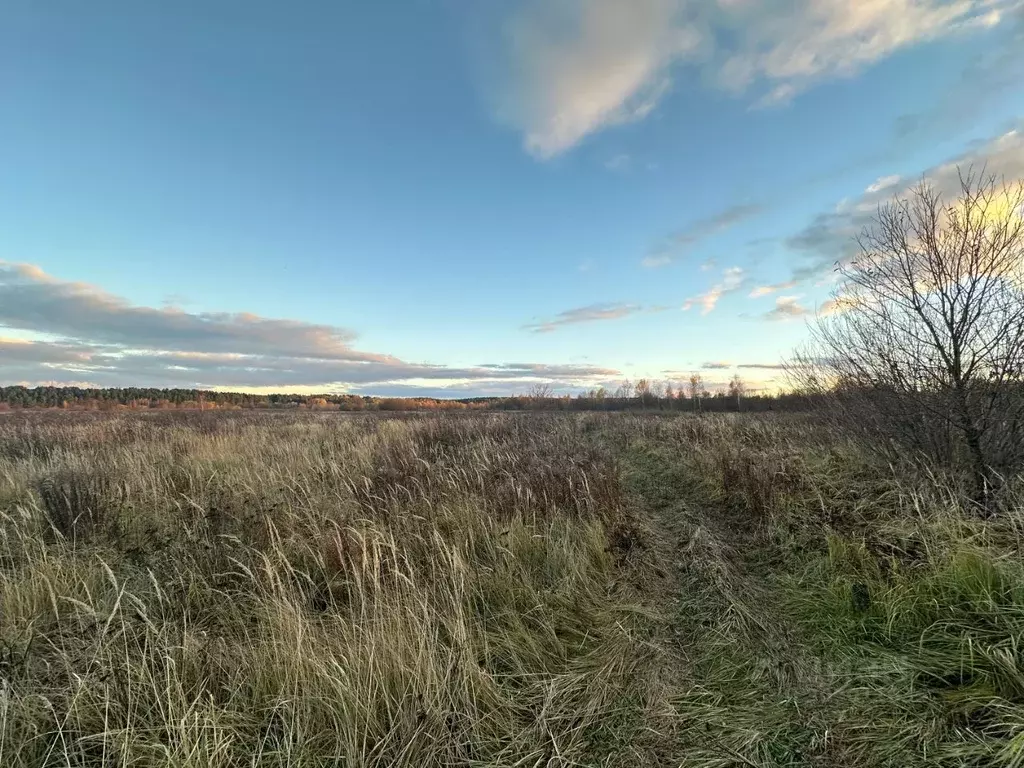 Участок в Московская область, Красногорск городской округ, д. ... - Фото 1