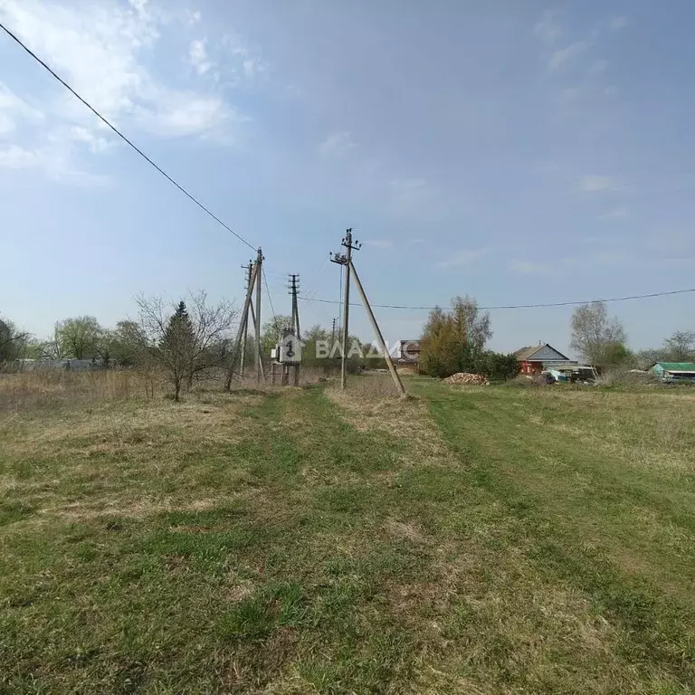 Участок в Владимирская область, Суздальский район, Селецкое ... - Фото 1