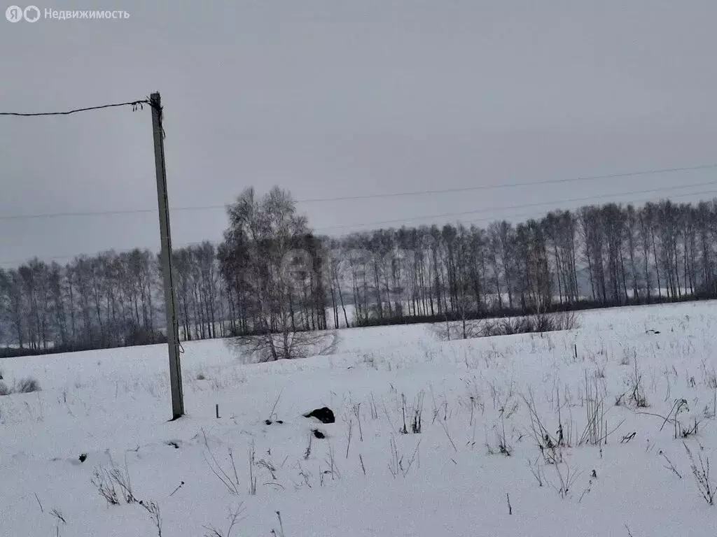 Участок в Кочкуровский район, село Подлесная Тавла (10 м) - Фото 1