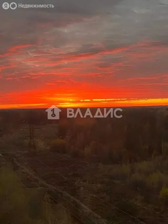 3-комнатная квартира: посёлок Акулово, 4 (82.2 м) - Фото 2