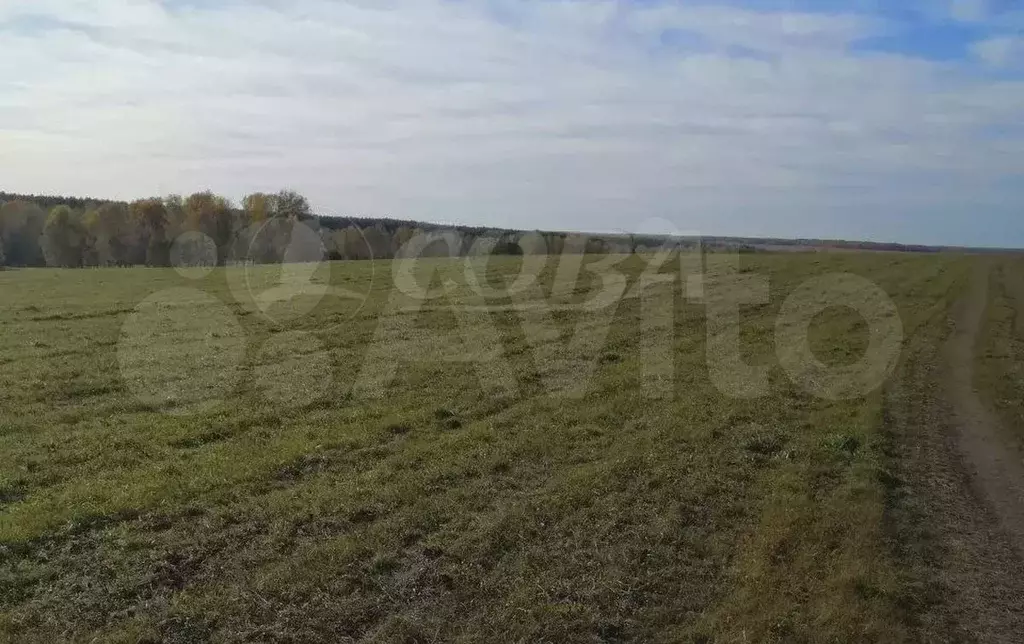 Участок 35 га (СНТ, ДНП) - Фото 1