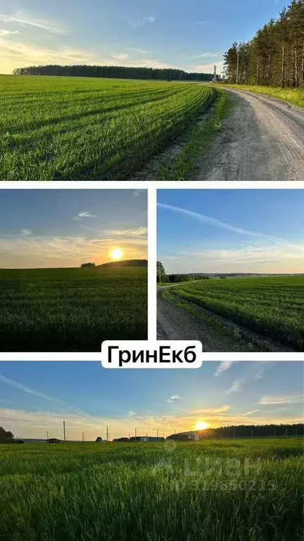 Участок в Свердловская область, Сысертский муниципальный округ, Грин ... - Фото 1