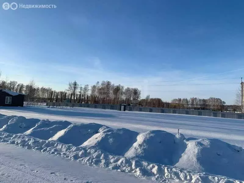 Участок в Новосибирский район, Верх-Тулинский сельсовет, ... - Фото 1
