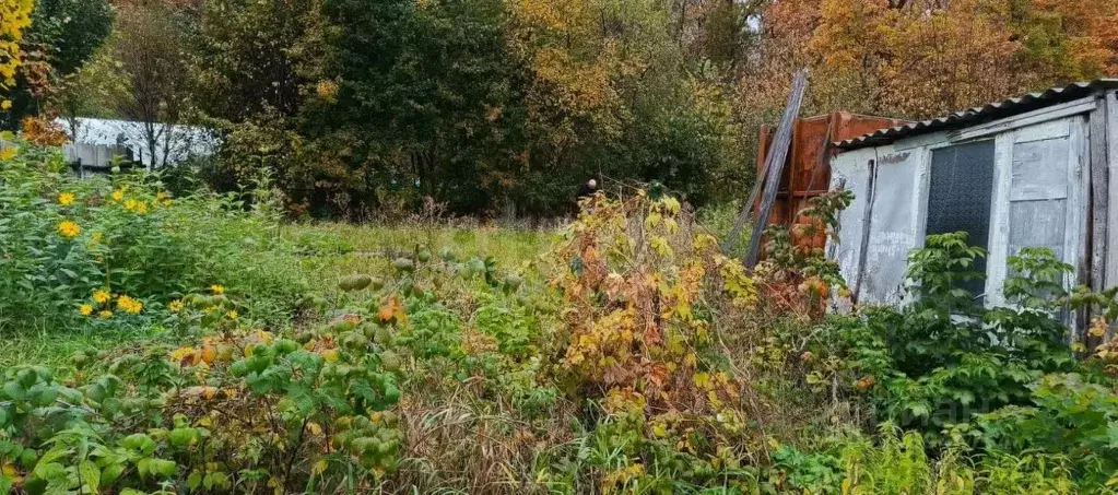 Участок в Башкортостан, Гафурийский район, Красноусольский сельсовет, ... - Фото 1