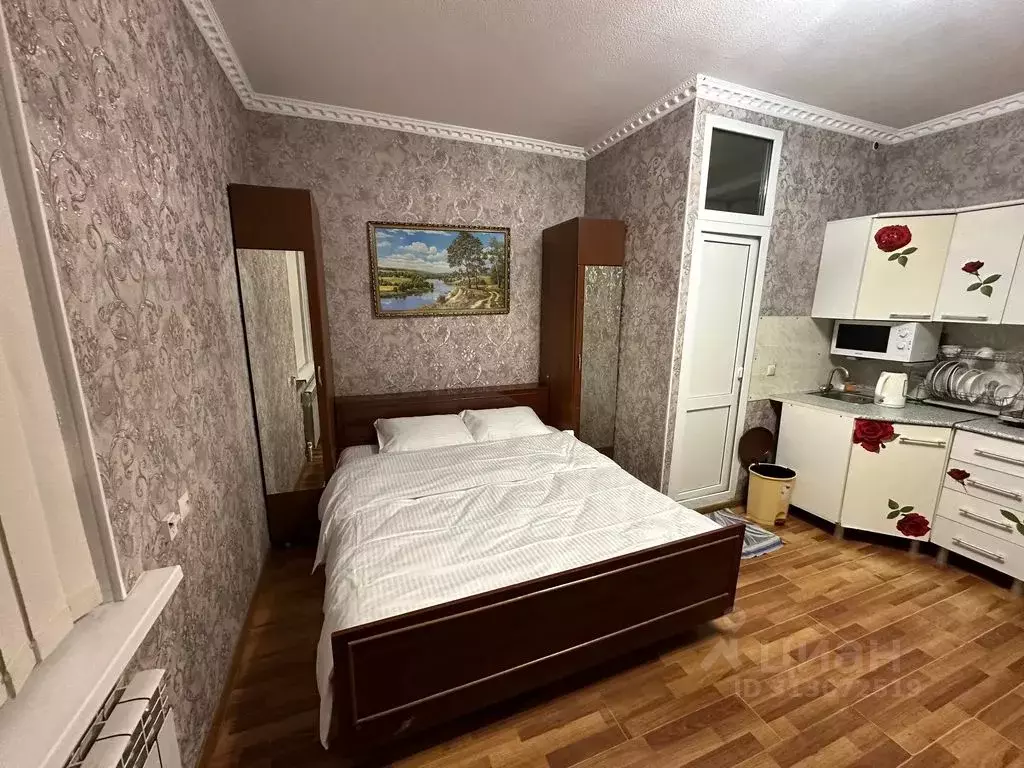 Студия Ставропольский край, Кисловодск ул. Кольцова, 24 (20.0 м) - Фото 1