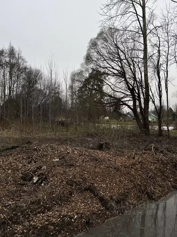 Участок в Ленинградская область, Гатчинский муниципальный округ, д. ... - Фото 1