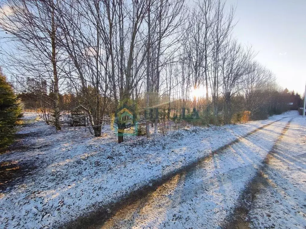 Участок в Ленинградская область, Гатчинский муниципальный округ, д. ... - Фото 1