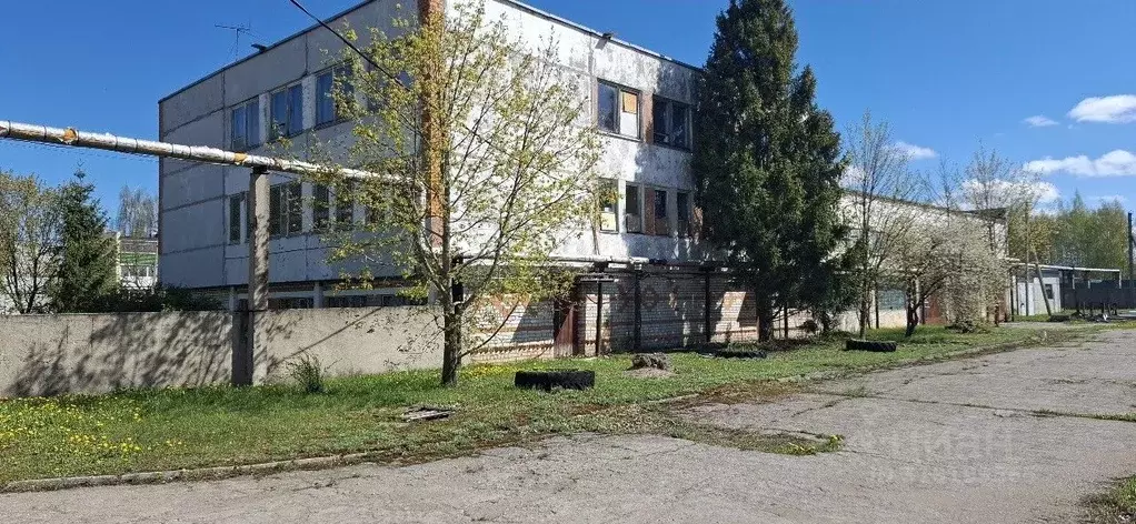 Помещение свободного назначения в Псковская область, Остров ул. ... - Фото 2