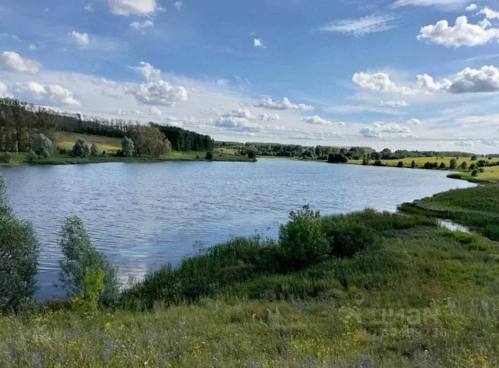 Участок в Нижегородская область, Лысковский район, д. Уварово Нагорная ... - Фото 1