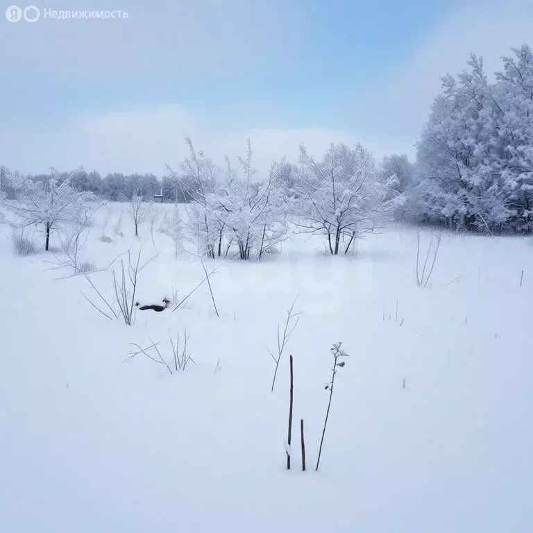 Участок в Щёкинский район, сельское поселение Лазаревское, село ... - Фото 2