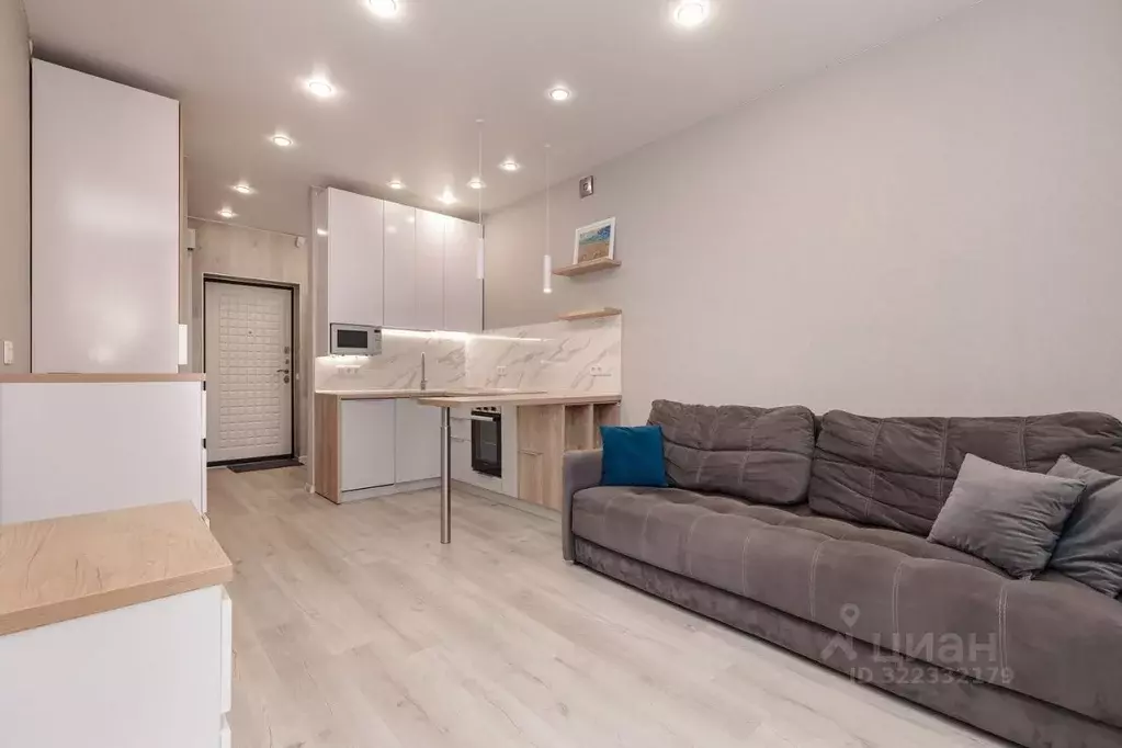 Студия Новосибирская область, Новосибирск Светлановская ул., 52 (24.3 ... - Фото 2