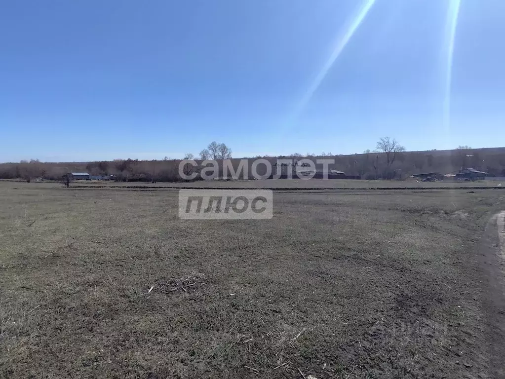 Участок в Самарская область, Сызранский район, с. Заборовка Трудовая ... - Фото 1