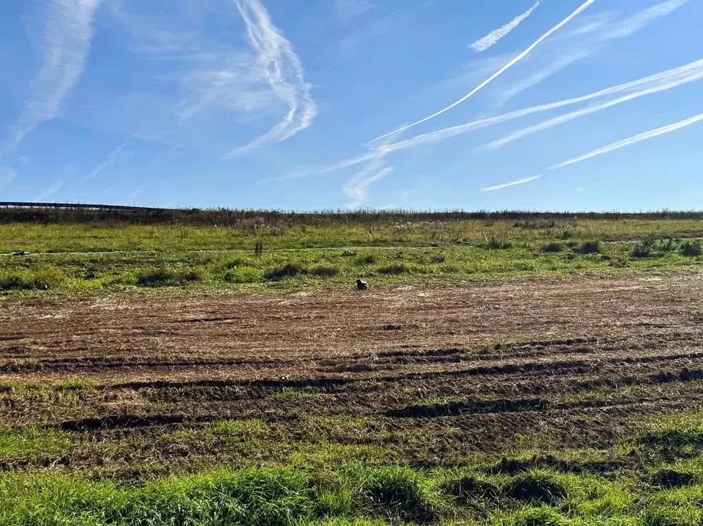 Участок в Московская область, Домодедово городской округ, пос. ... - Фото 2