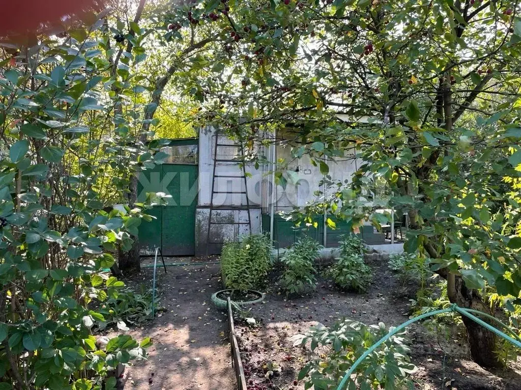 Дом в Новосибирская область, Новосибирск Ветеран СНТ,  (20 м) - Фото 1