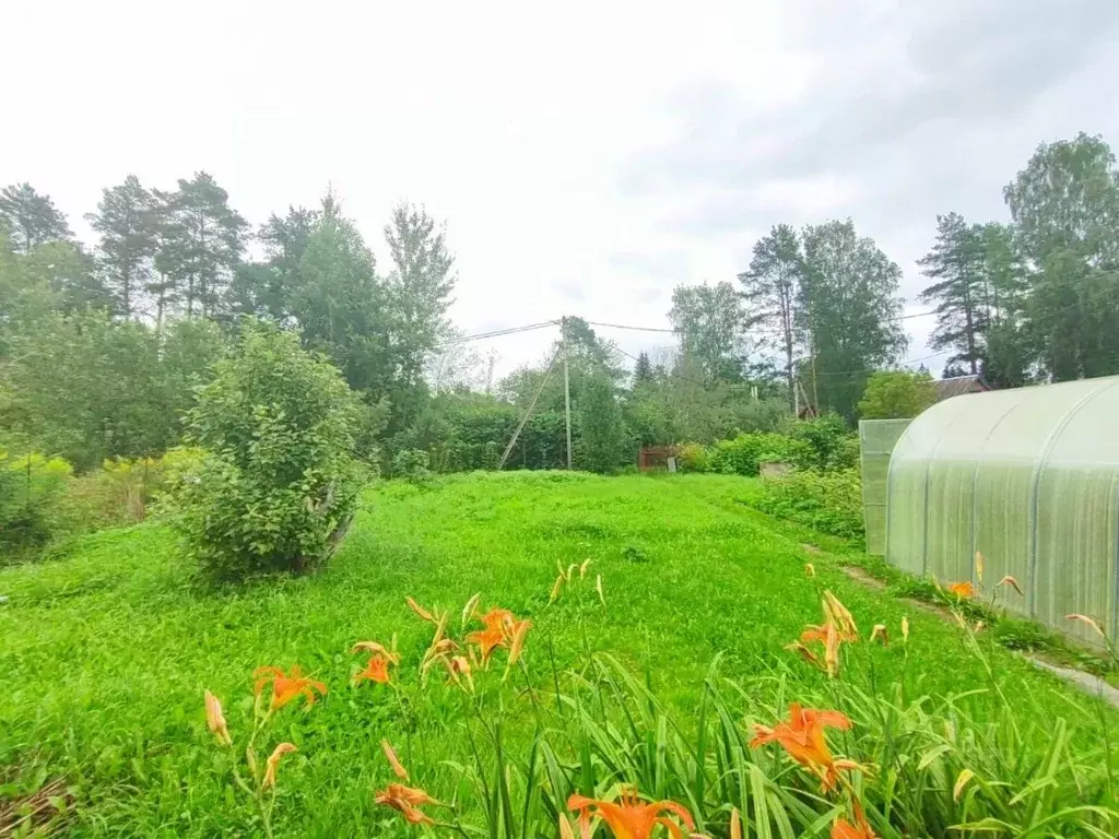 Участок в Ленинградская область, Кировский район, Павловское городское ... - Фото 1