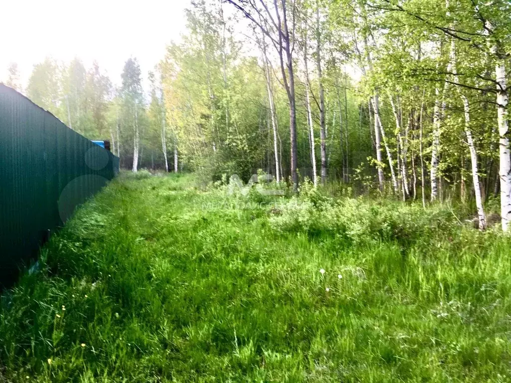 Фото участка СНТ Родничок. Фото участка СНТ Родничок Алкино.