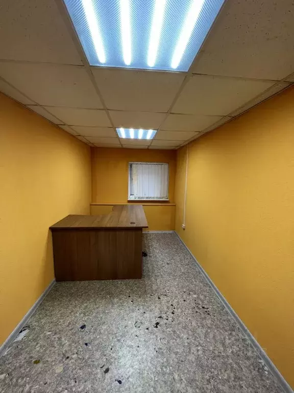 Офис в Санкт-Петербург 19-я Васильевского острова линия, 4 (12 м) - Фото 1