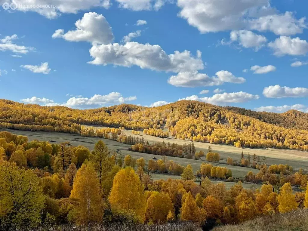 Участок в Шебалинский район, село Шебалино (5198.9 м) - Фото 1