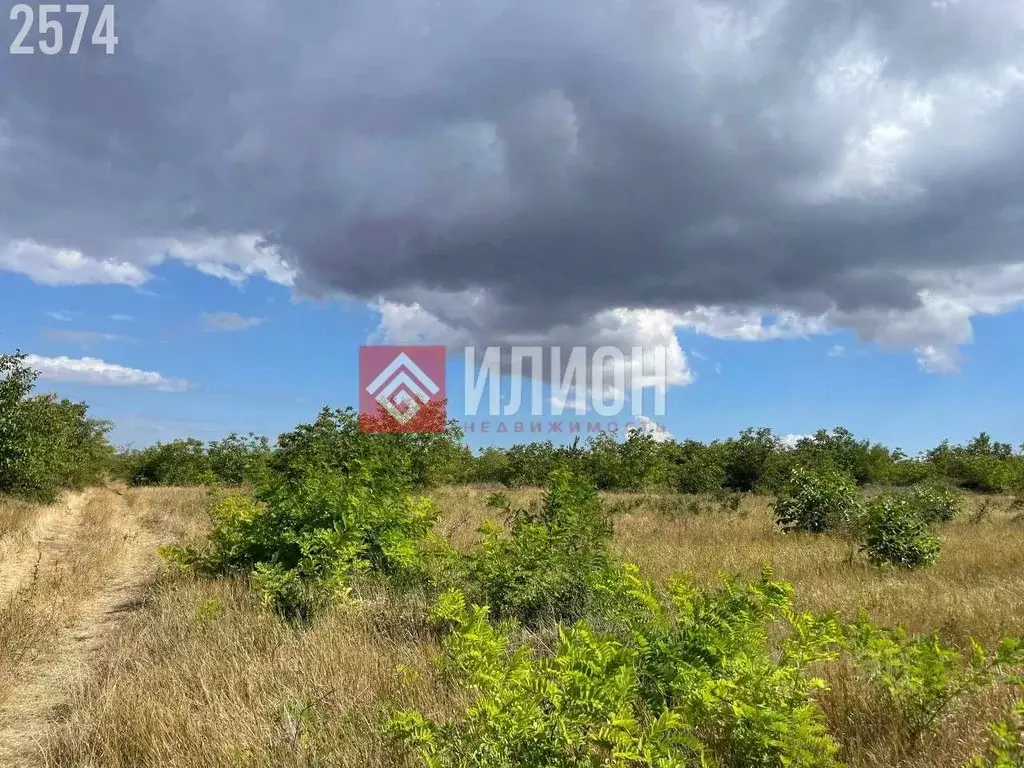 Участок в Крым, Кировский район, Первомайское с/пос, с. Жемчужина ... - Фото 2