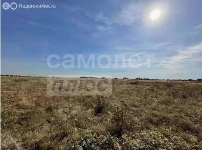 Участок в Сакский район, село Штормовое (6 м) - Фото 2