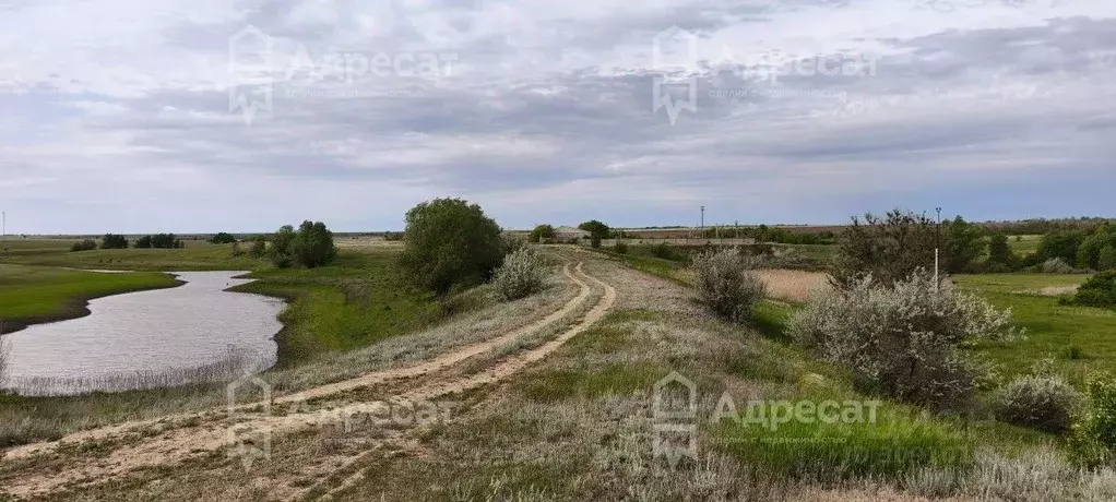 Помещение свободного назначения в Волгоградская область, Дубовский ... - Фото 0