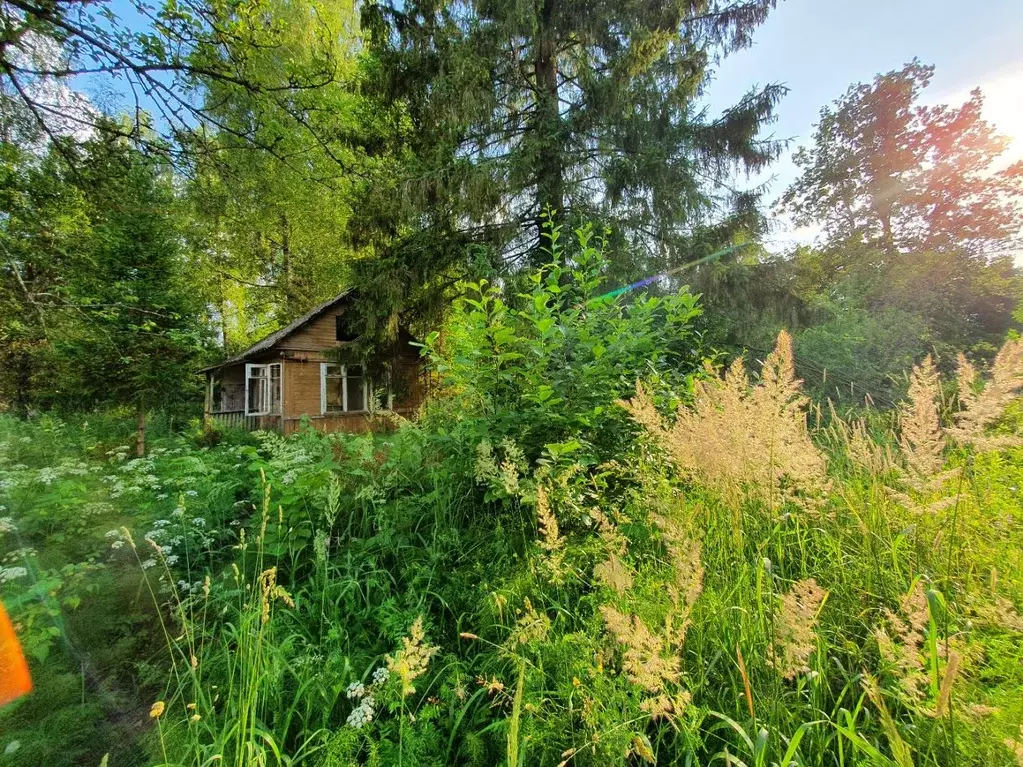 Участок в Ленинградская область, Гатчинский район, Вырица городской ... - Фото 0