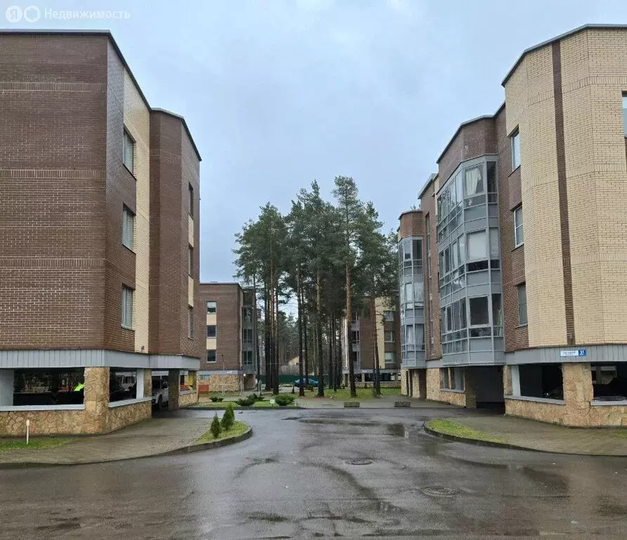 1-комнатная квартира: Всеволожск, Большой проспект, 31к4 (45.2 м) - Фото 1